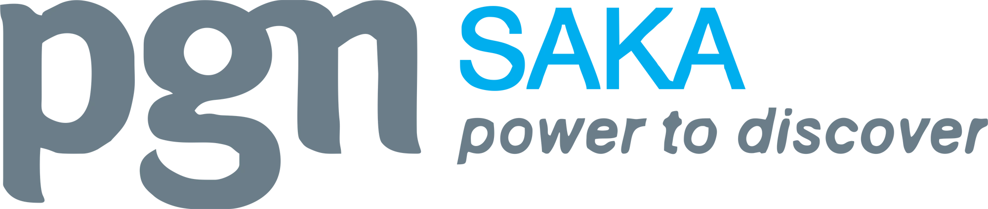 Saka Energi Indonesia
