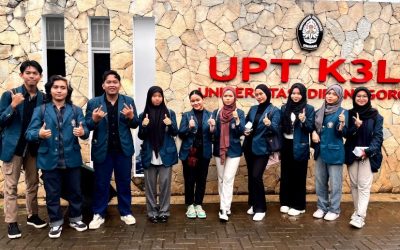 Kelompok 5 KKN-T TPST SDGs UNDIP 2025 Dorong Diversifikasi Pangan Berkelanjutan lewat Ekonomi Sirkular: Olah Limbah Kertas jadi Rockwool, Kembangkan Urban Farming, dan Tingkatkan Nilai Singkong