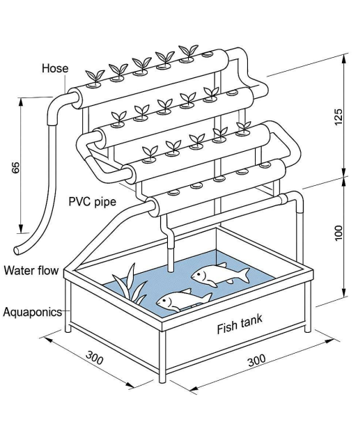 Diagram of a fish tank with water and fish plants
AI-generated content may be incorrect.