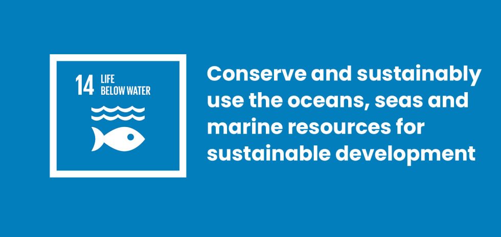 Goal 14 Life Below Water | SDGs Center Universitas Diponegoro